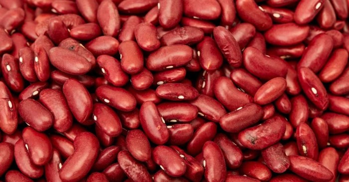 Nutrition facts red beans