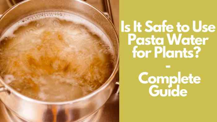 Is pasta water good for plants