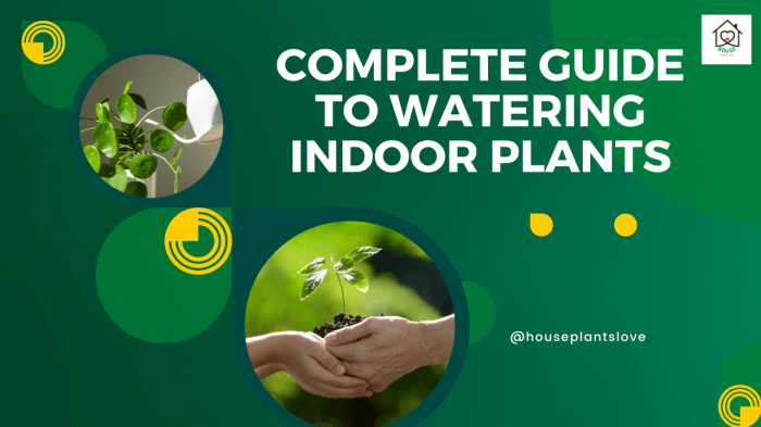 How often to water indoor plants