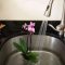 How Do You Water an Orchid Plant?